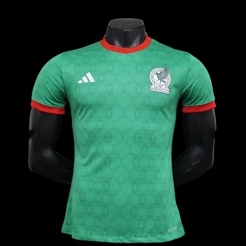 Mexico 24/25 Player Version Home