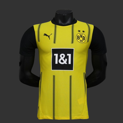 Dortmund 24/25 Player Version Home